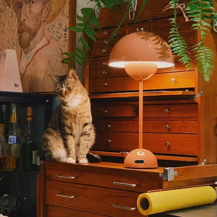 Cat sitting on a wooden dresser with a lamp and plants in a cozy room.